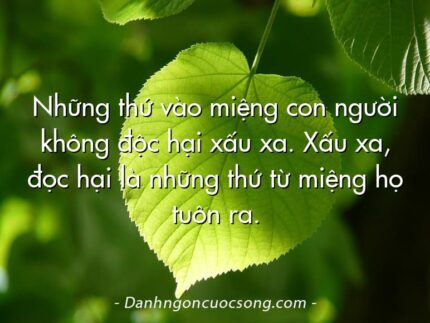 Những thứ vào miệng con người không độc hại xấu xa. Xấu xa, đọc hại là những thứ từ miệng họ tuôn ra.