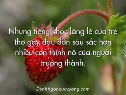 Nhưng tiếng khóc lặng lẽ của trẻ thơ gây đau đớn sâu sắc hơn nhiều cơn thịnh nộ của người trưởng thành.