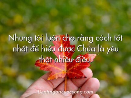 Nhưng tôi luôn cho rằng cách tốt nhất để hiểu được Chúa là yêu thật nhiều điều.