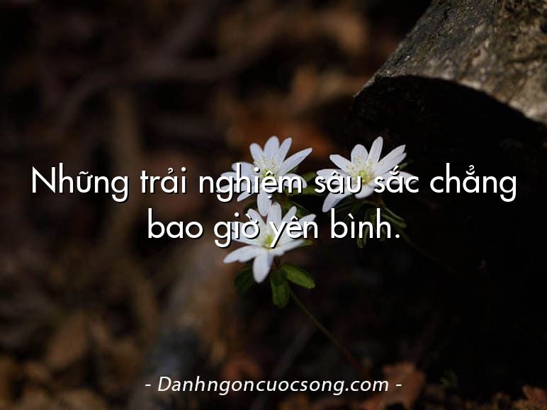 Những trải nghiệm sâu sắc chẳng bao giờ yên bình.