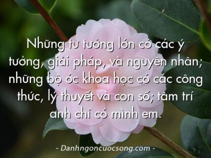 Những tư tưởng lớn có các ý tưởng, giải pháp, và nguyên nhân; những bộ óc khoa học có các công thức, lý thuyết và con số; tâm trí anh chỉ có mình em.