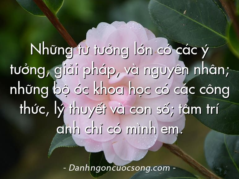 Những tư tưởng lớn có các ý tưởng, giải pháp, và nguyên nhân; những bộ óc khoa học có các công thức, lý thuyết và con số; tâm trí anh chỉ có mình em.