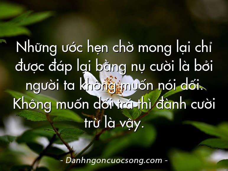 Những ước hẹn chờ mong lại chỉ được đáp lại bằng nụ cười là bởi người ta không muốn nói dối. Không muốn dối trá thì đành cười trừ là vậy.