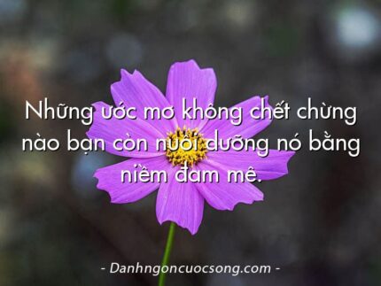 Những ước mơ không chết chừng nào bạn còn nuôi dưỡng nó bằng niềm đam mê.