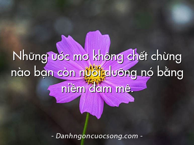 Những ước mơ không chết chừng nào bạn còn nuôi dưỡng nó bằng niềm đam mê.