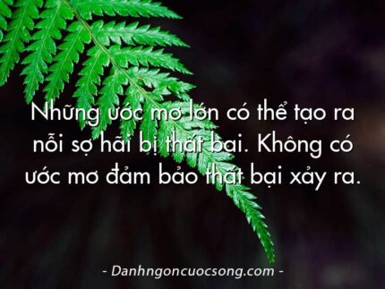Những ước mơ lớn có thể tạo ra nỗi sợ hãi bị thất bại. Không có ước mơ đảm bảo thất bại xảy ra.