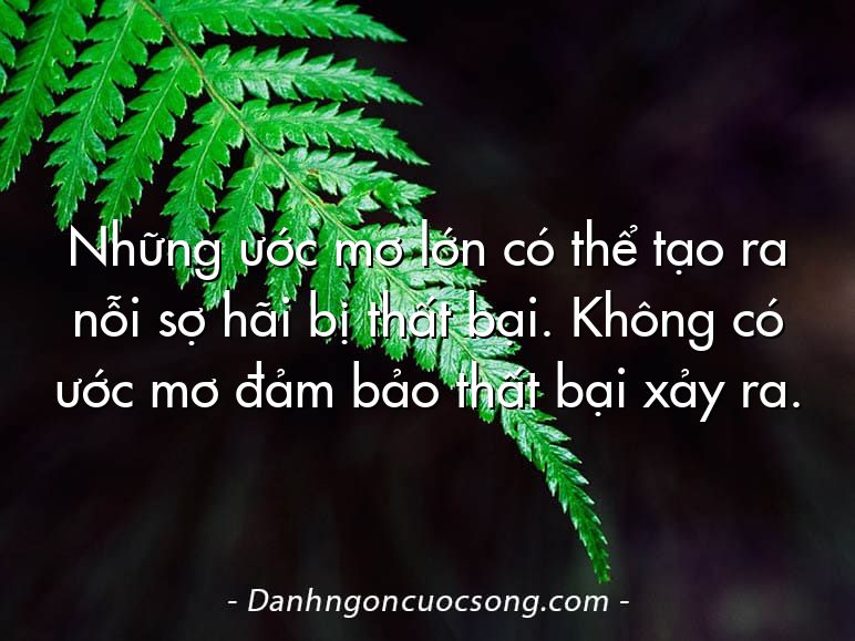 Những ước mơ lớn có thể tạo ra nỗi sợ hãi bị thất bại. Không có ước mơ đảm bảo thất bại xảy ra.