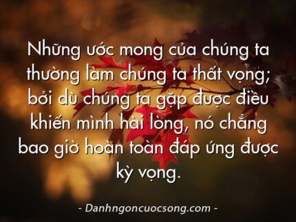 Những ước mong của chúng ta thường làm chúng ta thất vọng; bởi dù chúng ta gặp được điều khiến mình hài lòng, nó chẳng bao giờ hoàn toàn đáp ứng được kỳ vọng.