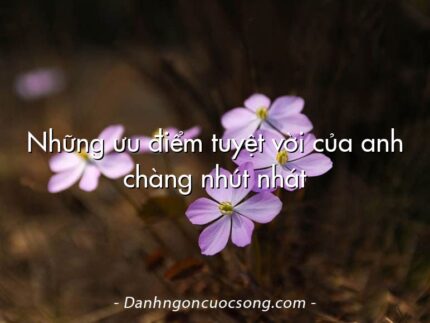 Những ưu điểm tuyệt vời của anh chàng nhút nhát