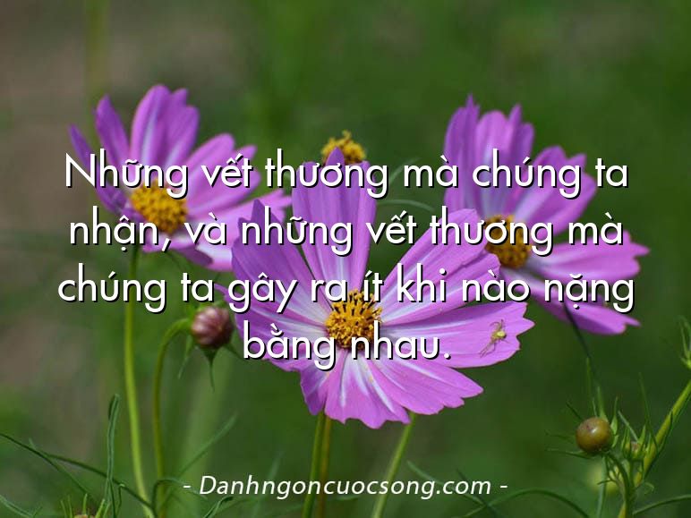 Những vết thương mà chúng ta nhận, và những vết thương mà chúng ta gây ra ít khi nào nặng bằng nhau.