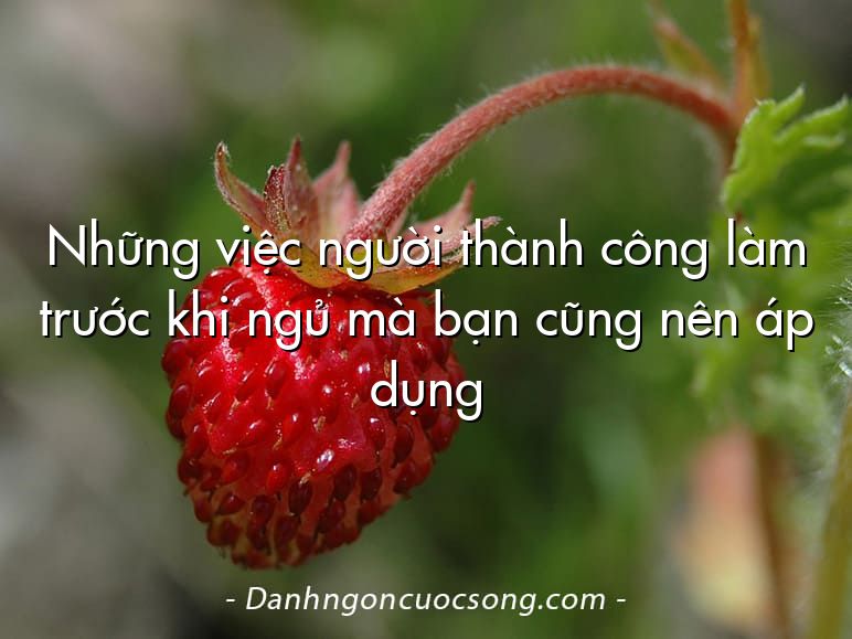 Những việc người thành công làm trước khi ngủ mà bạn cũng nên áp dụng