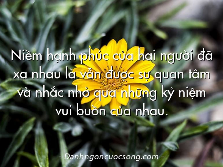 Niềm hạnh phúc của hai người đã xa nhau là vẫn được sự quan tâm và nhắc nhở qua những kỷ niệm vui buồn của nhau.