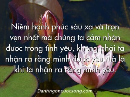Niềm hạnh phúc sâu xa và trọn vẹn nhất mà chúng ta cảm nhận được trong tình yêu, không phải ta nhận ra rằng mình được yêu mà là khi ta nhận ra rằng mình yêu.