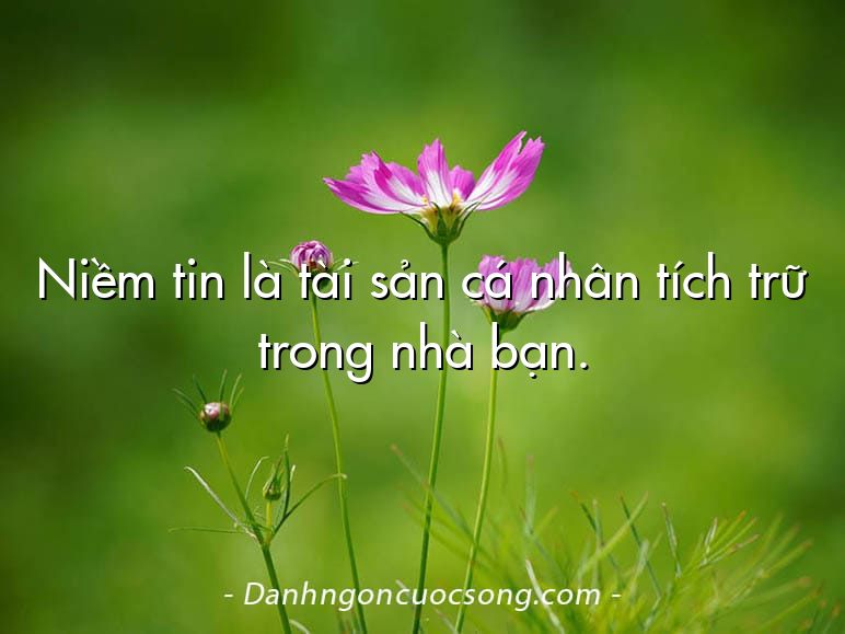 Niềm tin là tài sản cá nhân tích trữ trong nhà bạn.