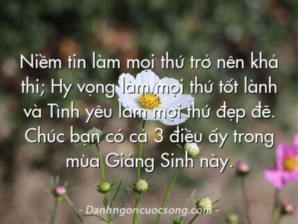Niềm tin làm mọi thứ trở nên khả thi; Hy vọng làm mọi thứ tốt lành và Tình yêu làm mọi thứ đẹp đẽ. Chúc bạn có cả 3 điều ấy trong mùa Giáng Sinh này.