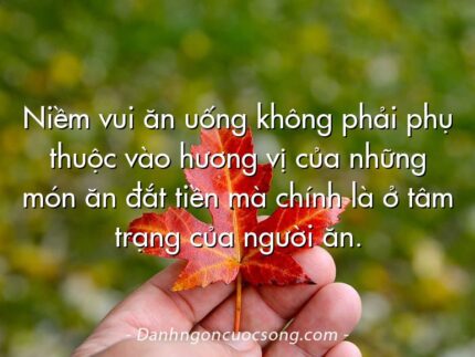 Niềm vui ăn uống không phải phụ thuộc vào hương vị của những món ăn đắt tiền mà chính là ở tâm trạng của người ăn.