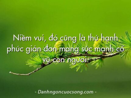 Niềm vui, đó cũng là thứ hạnh phúc giản đơn mang sức mạnh cổ vũ con người.