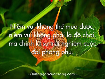 Niềm vui không thể mua được, niềm vui không phải là đồ chơi, mà chính là sự trải nghiệm cuộc đời phong phú.