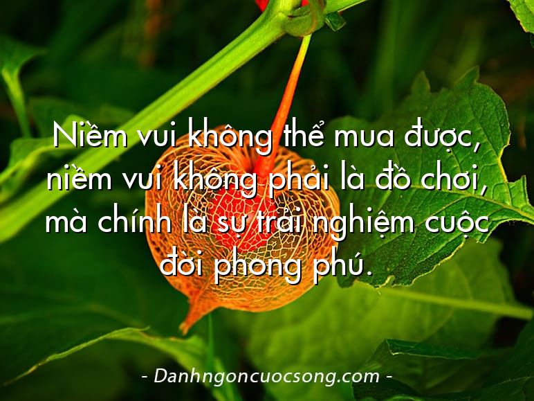 Niềm vui không thể mua được, niềm vui không phải là đồ chơi, mà chính là sự trải nghiệm cuộc đời phong phú.