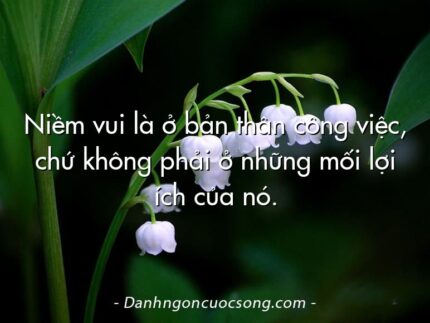 Niềm vui là ở bản thân công việc, chứ không phải ở những mối lợi ích của nó.