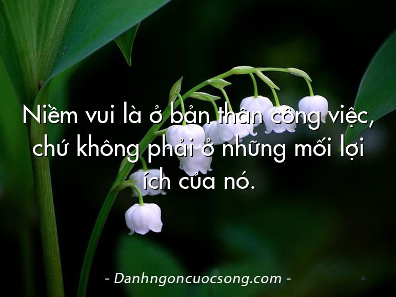 Niềm vui là ở bản thân công việc, chứ không phải ở những mối lợi ích của nó.