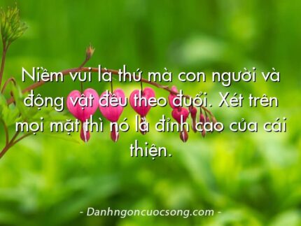 Niềm vui là thứ mà con người và động vật đều theo đuổi. Xét trên mọi mặt thì nó là đỉnh cao của cái thiện.