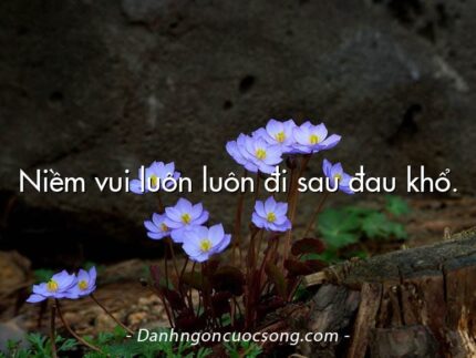 Niềm vui luôn luôn đi sau đau khổ.