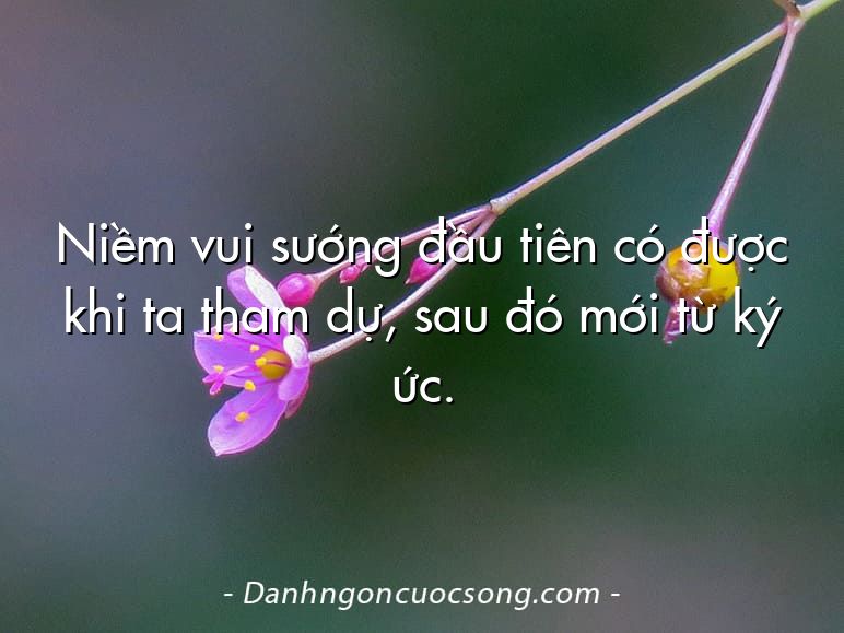 Niềm vui sướng đầu tiên có được khi ta tham dự, sau đó mới từ ký ức.