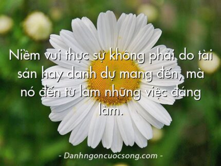 Niềm vui thực sự không phải do tài sản hay danh dự mang đến, mà nó đến từ làm những việc đáng làm.