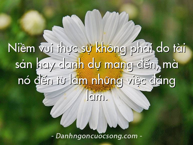 Niềm vui thực sự không phải do tài sản hay danh dự mang đến, mà nó đến từ làm những việc đáng làm.