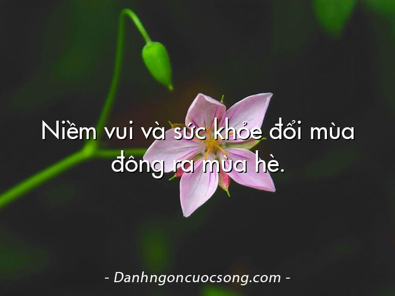 Niềm vui và sức khỏe đổi mùa đông ra mùa hè.