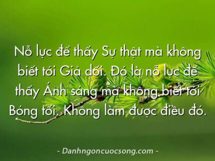 Nỗ lực để thấy Sự thật mà không biết tới Giả dối. Đó là nỗ lực để thấy Ánh sáng mà không biết tới Bóng tối. Không làm được điều đó.