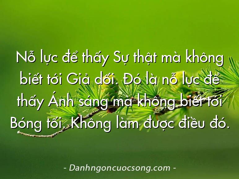 Nỗ lực để thấy Sự thật mà không biết tới Giả dối. Đó là nỗ lực để thấy Ánh sáng mà không biết tới Bóng tối. Không làm được điều đó.