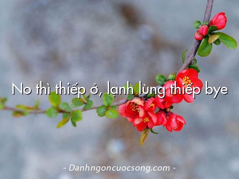 No thì thiếp ở, lạnh lùng thiếp bye