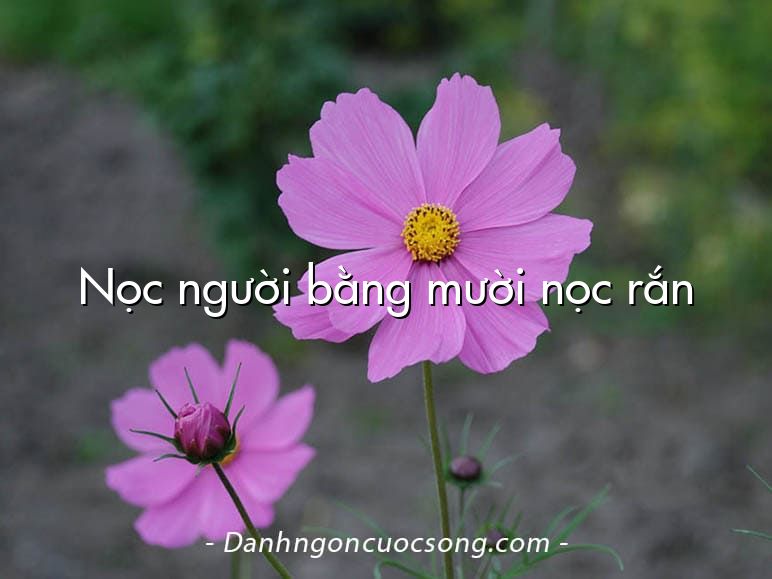 Nọc người bằng mười nọc rắn