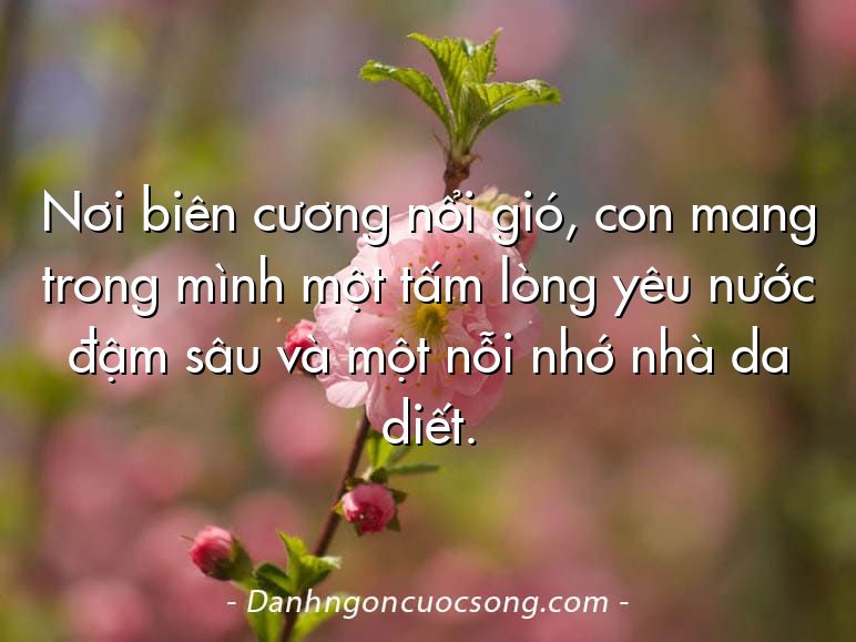 Nơi biên cương nổi gió, con mang trong mình một tấm lòng yêu nước đậm sâu và một nỗi nhớ nhà da diết.