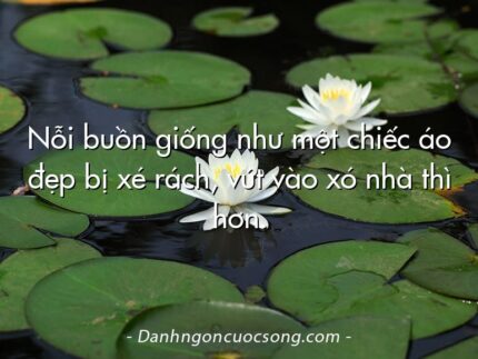 Nỗi buồn giống như một chiếc áo đẹp bị xé rách, vứt vào xó nhà thì hơn.