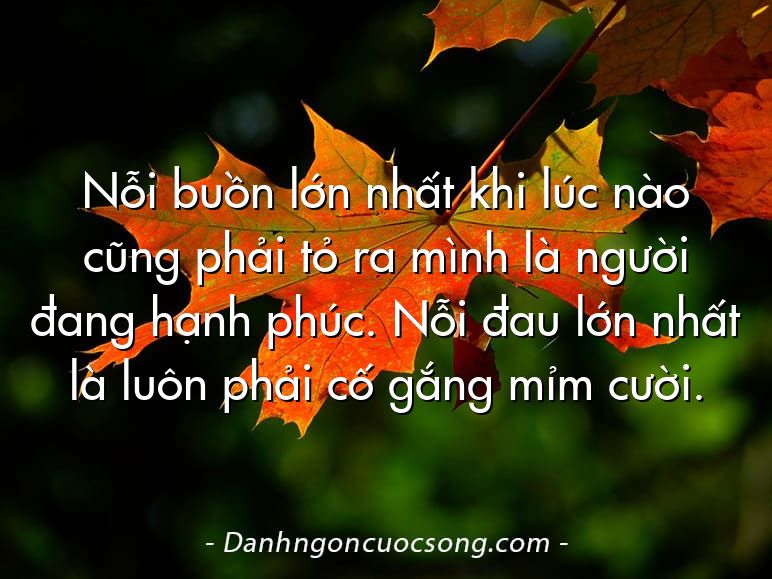 Nỗi buồn lớn nhất khi lúc nào cũng phải tỏ ra mình là người đang hạnh phúc. Nỗi đau lớn nhất là luôn phải cố gắng mỉm cười.