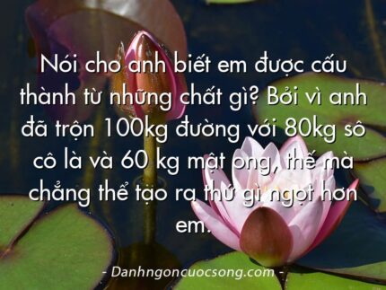 Nói cho anh biết em được cấu thành từ những chất gì? Bởi vì anh đã trộn 100kg đường với 80kg sô cô là và 60 kg mật ong, thế mà chẳng thể tạo ra thứ gì ngọt hơn em.