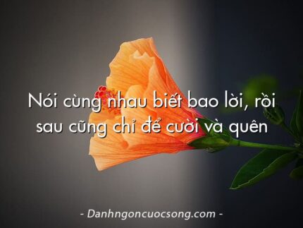 Nói cùng nhau biết bao lời, rồi sau cũng chỉ để cười và quên