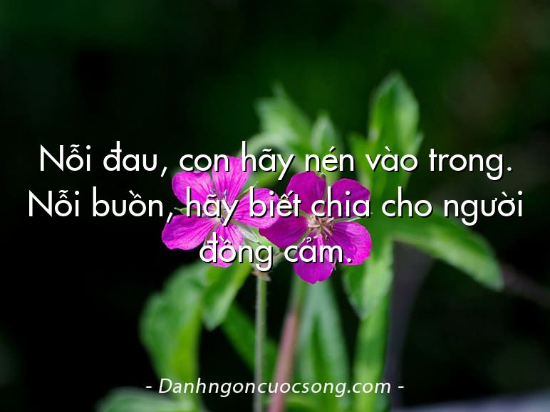 Nỗi đau, con hãy nén vào trong. Nỗi buồn, hãy biết chia cho người đồng cảm.