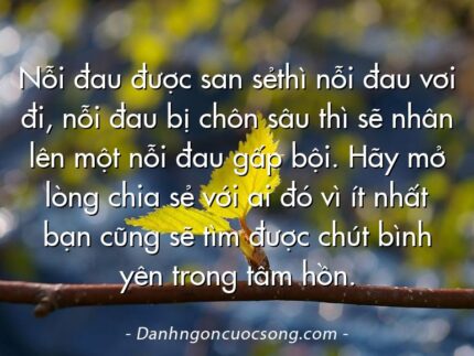 Nỗi đau được san sẻthì nỗi đau vơi đi, nỗi đau bị chôn sâu thì sẽ nhân lên một nỗi đau gấp bội. Hãy mở lòng chia sẻ với ai đó vì ít nhất bạn cũng sẽ tìm được chút bình yên trong tâm hồn.