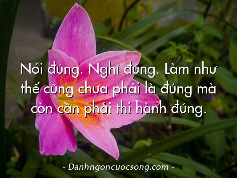 Nói đúng. Nghĩ đúng. Làm như thế cũng chưa phải là đúng mà còn cần phải thi hành đúng.