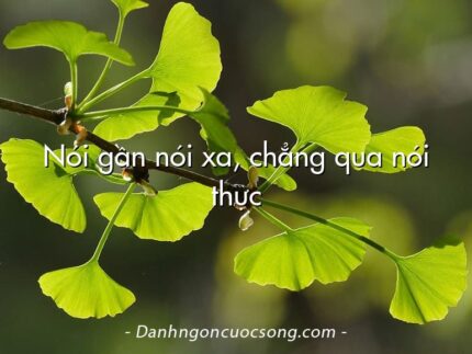 Nói gần nói xa, chẳng qua nói thực