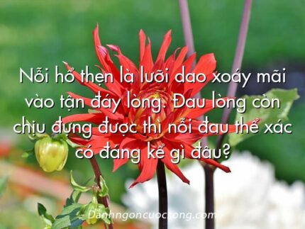 Nỗi hổ thẹn là lưỡi dao xoáy mãi vào tận đáy lòng. Đau lòng còn chịu đựng được thì nỗi đau thể xác có đáng kể gì đâu?