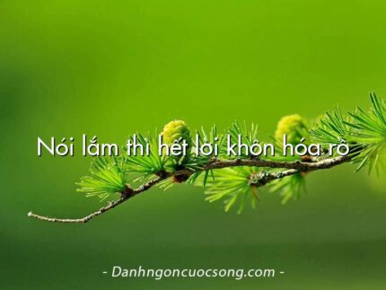 Nói lắm thì hết lời khôn hóa rồ