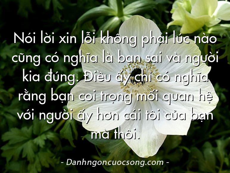 Nói lời xin lỗi không phải lúc nào cũng có nghĩa là bạn sai và người kia đúng. Điều ấy chỉ có nghĩa rằng bạn coi trọng mối quan hệ với người ấy hơn cái tôi của bạn mà thôi.
