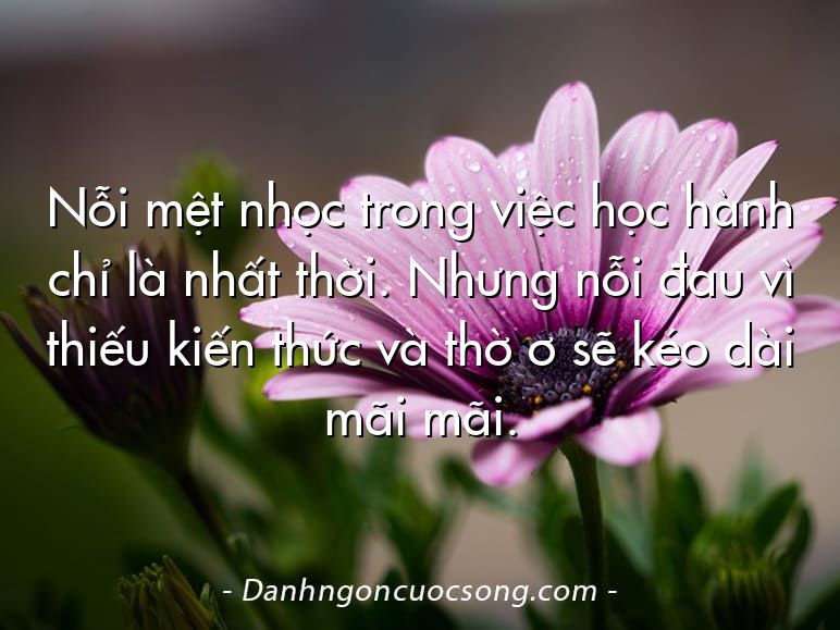 Nỗi mệt nhọc trong việc học hành chỉ là nhất thời. Nhưng nỗi đau vì thiếu kiến thức và thờ ơ sẽ kéo dài mãi mãi.