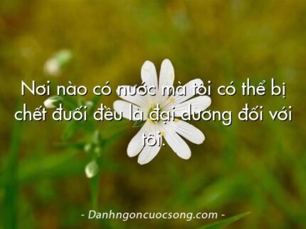 Nơi nào có nước mà tôi có thể bị chết đuối đều là đại dương đối với tôi.