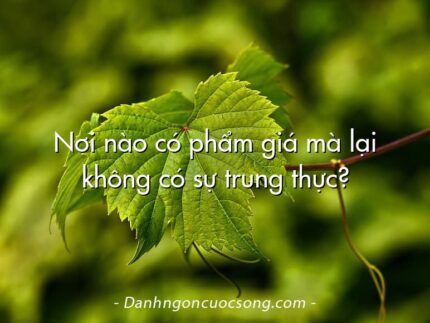 Nơi nào có phẩm giá mà lại không có sự trung thực?